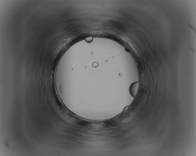 X0000093460495200710120953