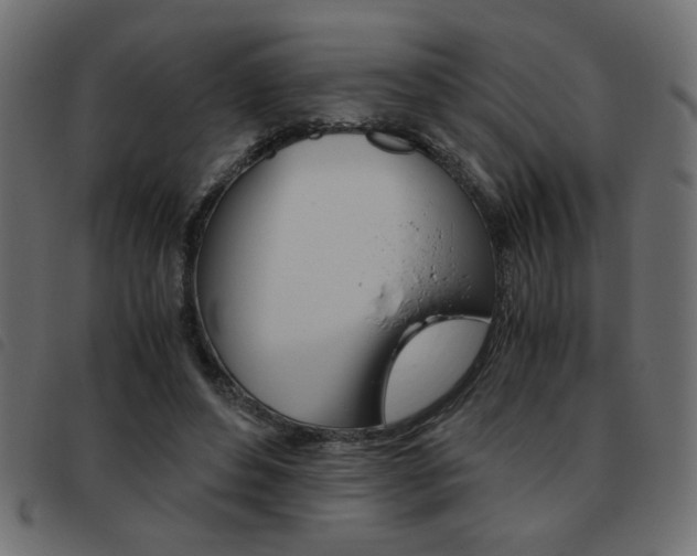 X0000093460496200710120953