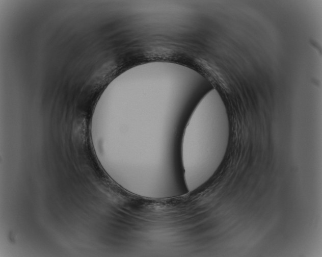 X0000093460498200710120953
