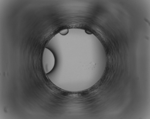 X0000093460499200710120953