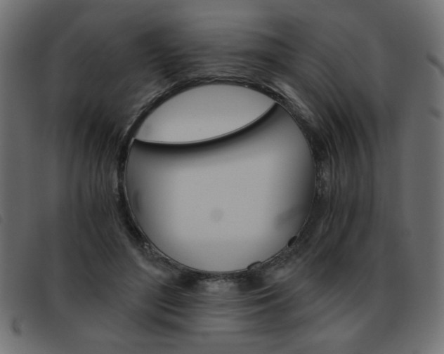 X0000093460500200710120953