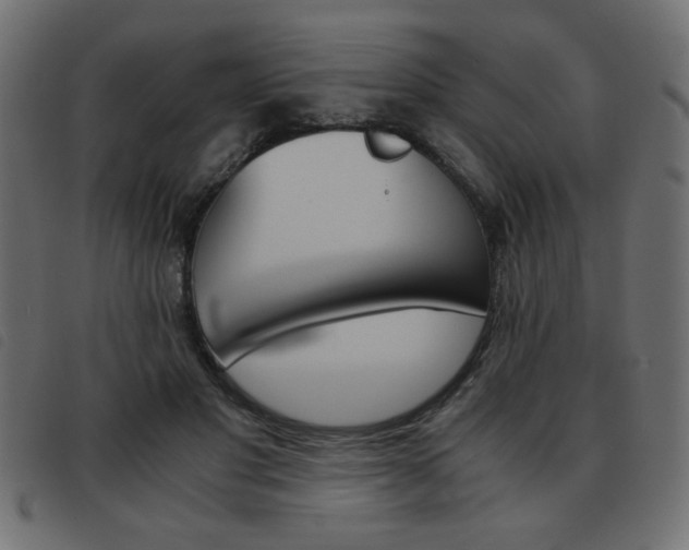 X0000093460501200710120953