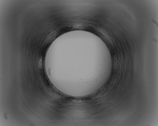 X0000093460502200710120953