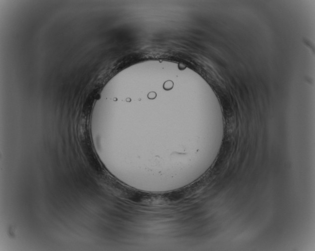 X0000093460503200710120953