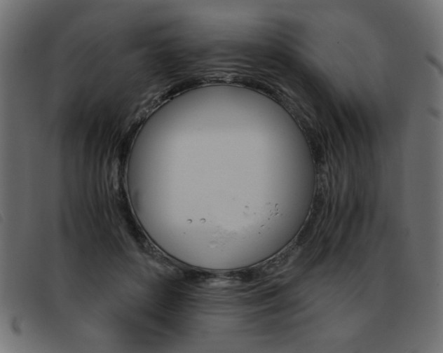 X0000093460504200710120953