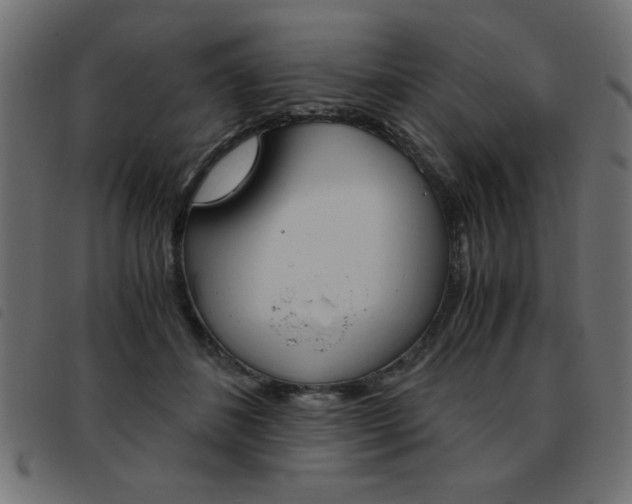 X0000093460508200710120952