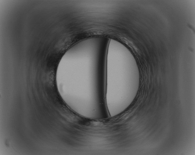 X0000093460509200710120952