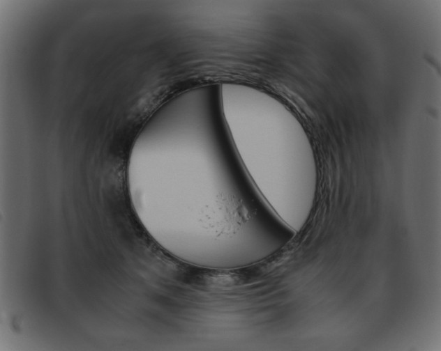 X0000093460513200710120952