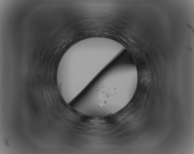 X0000093460515200710120952