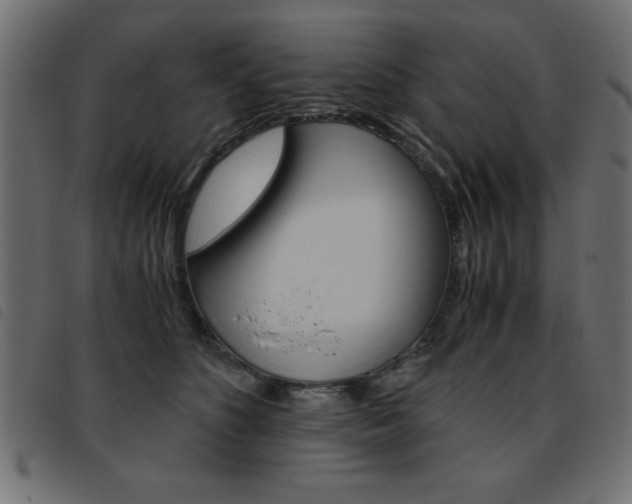 X0000093460516200710120952