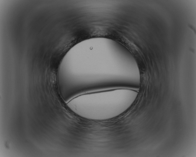 X0000093460517200710120952