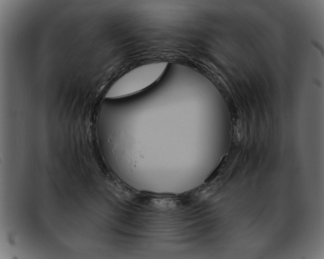 X0000093460520200710120952