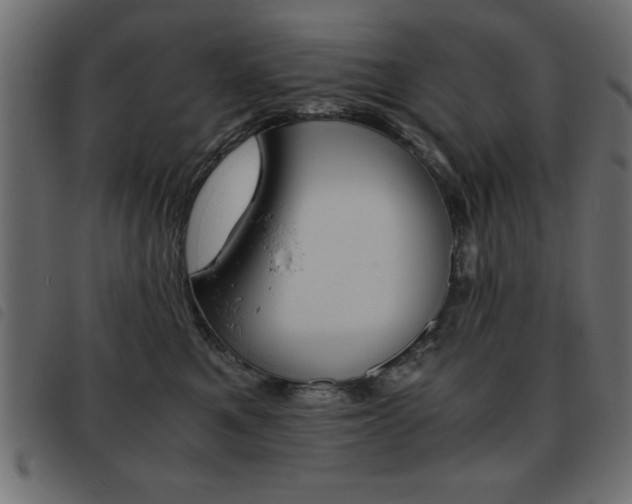 X0000093460521200710120952