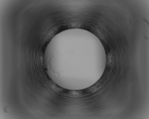 X0000093460522200710120952
