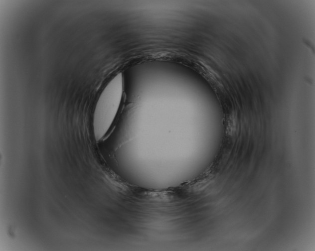 X0000093460524200710120952