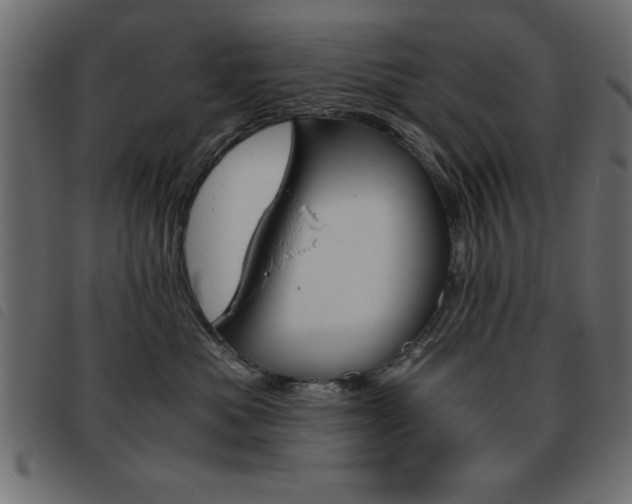X0000093460525200710120952