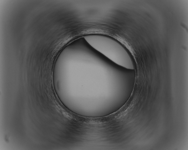 X0000093460529200710120952
