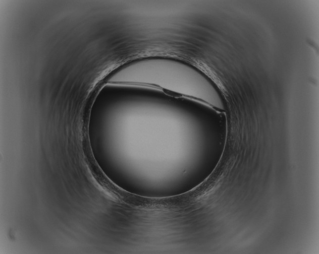 X0000093460530200710120952