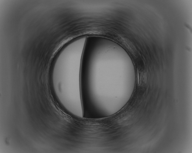 X0000093460531200710120952