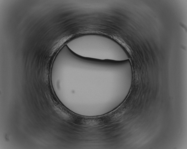 X0000093460533200710120952