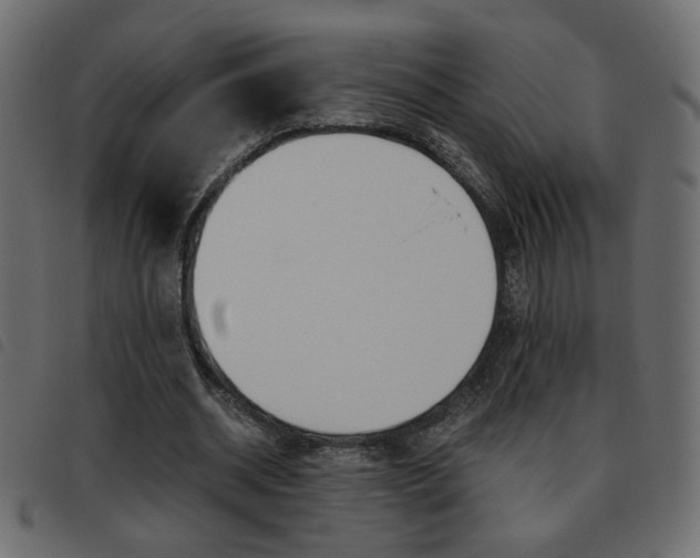 X0000093460534200710120952