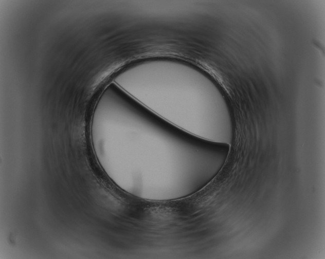 X0000093460535200710120952