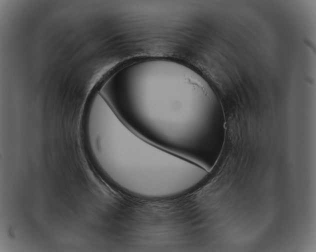 X0000093460536200710120952