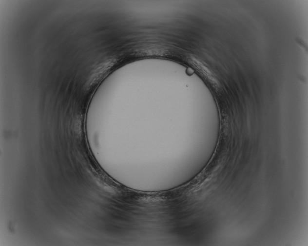 X0000093460537200710120952