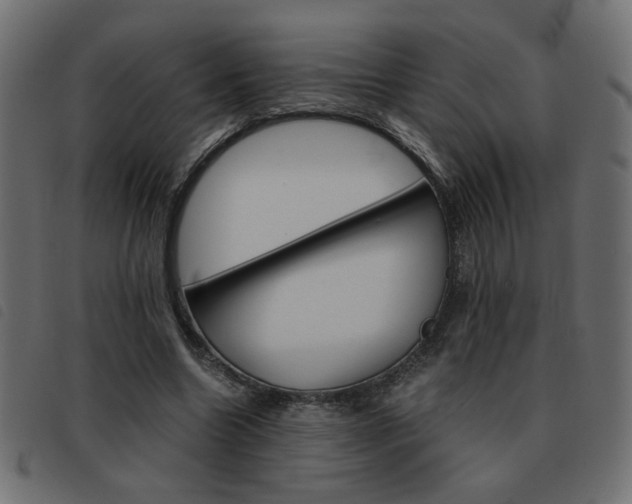 X0000093460538200710120952