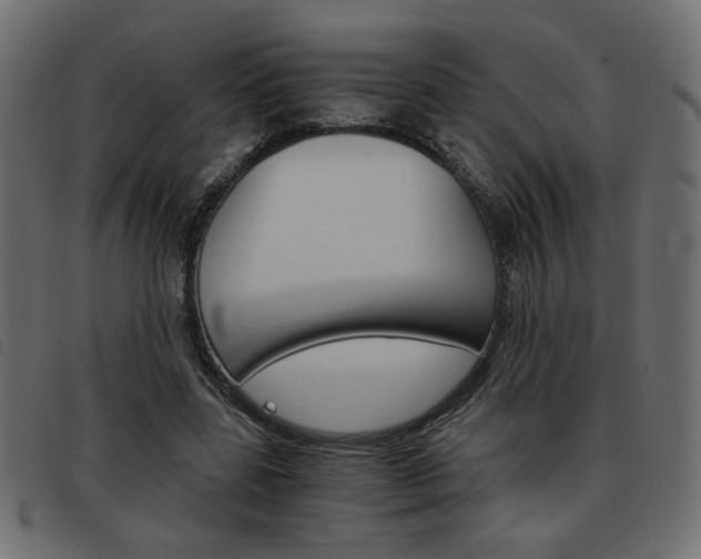 X0000093460539200710120952