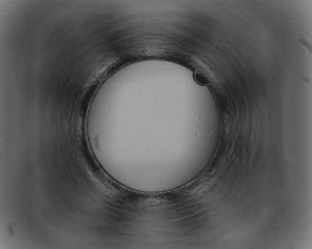 X0000093460542200710120952