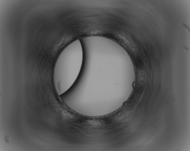X0000093460545200710120952