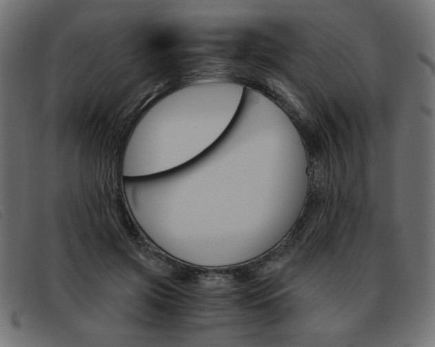 X0000093460549200710120952