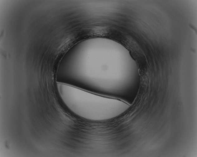 X0000093460552200710120952