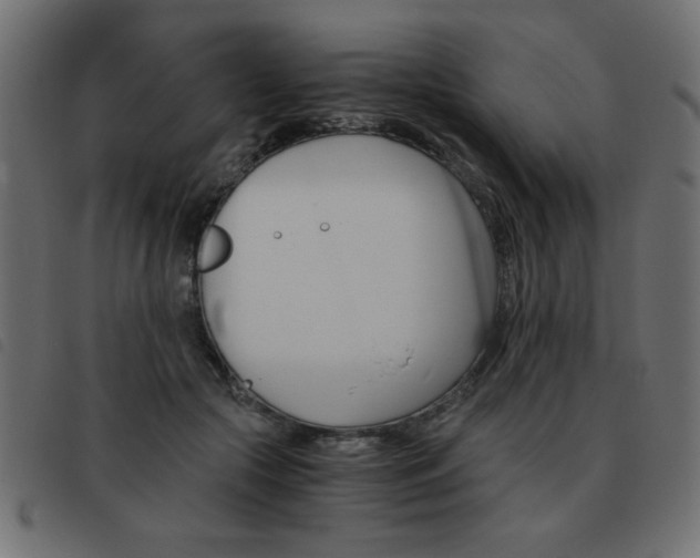 X0000093460553200710120952