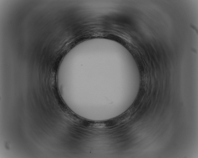 X0000093460554200710120952
