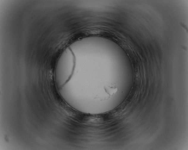 X0000093460555200710120952