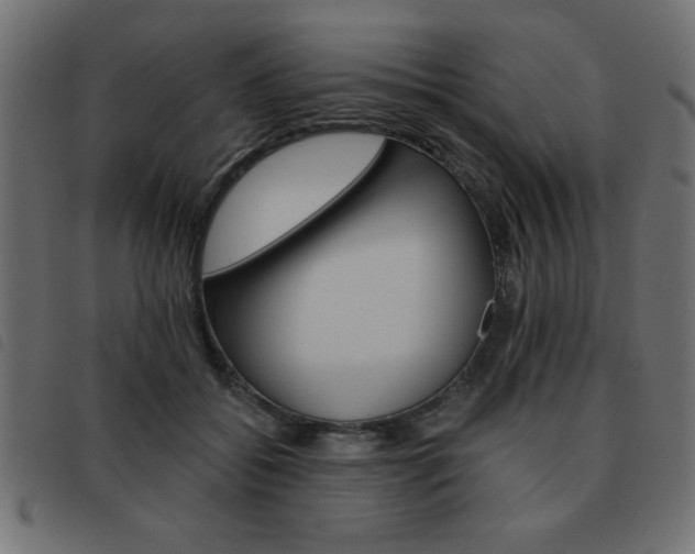 X0000093460556200710120952
