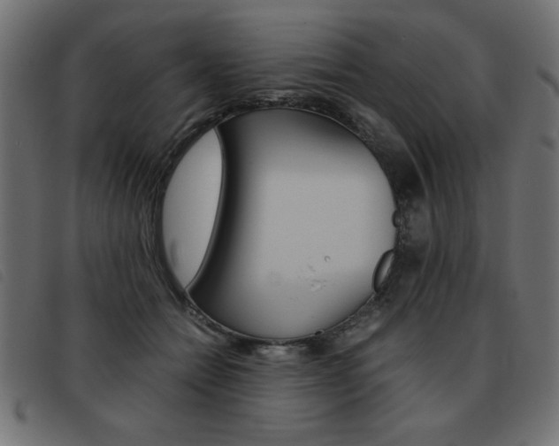X0000093460558200710120952