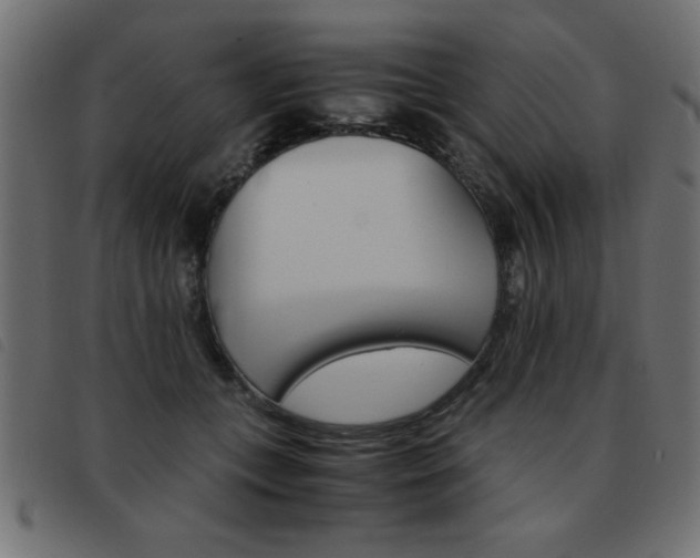 X0000093460559200710120952
