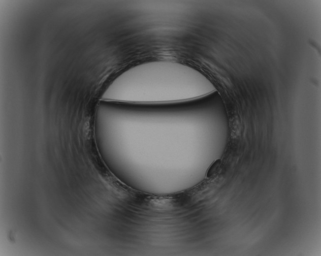 X0000093460560200710120952
