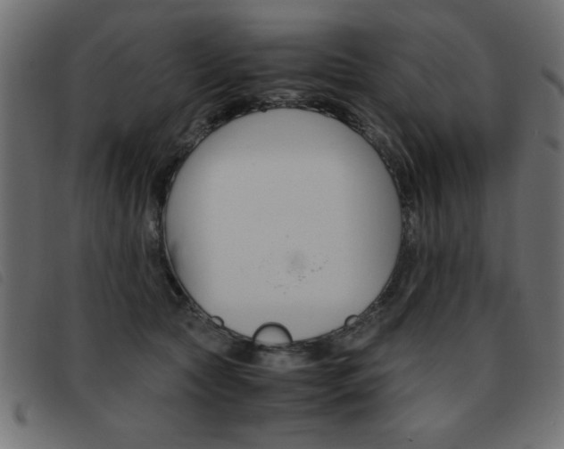 X0000093460561200710120952