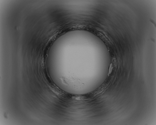 X0000093460564200710120952