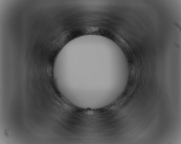 X0000093460565200710120952