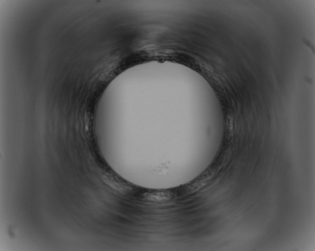 X0000093460567200710120952