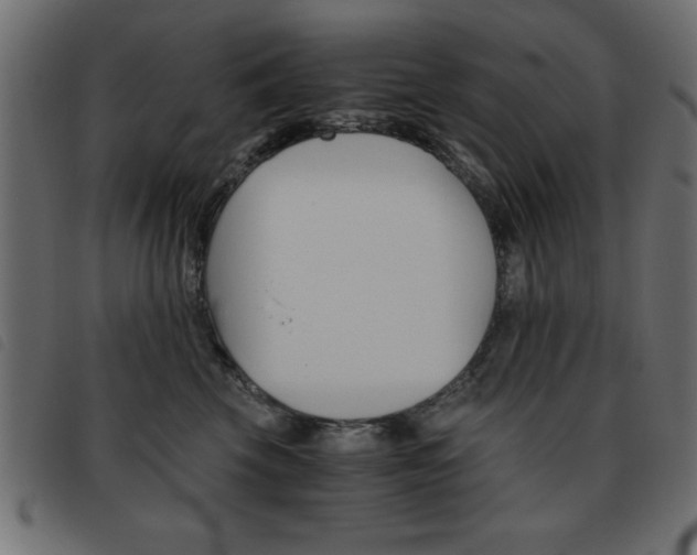 X0000093460569200710120952