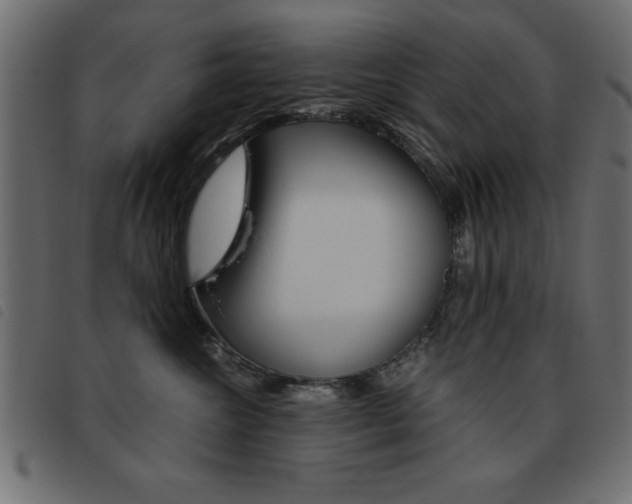 X0000093460572200710120952