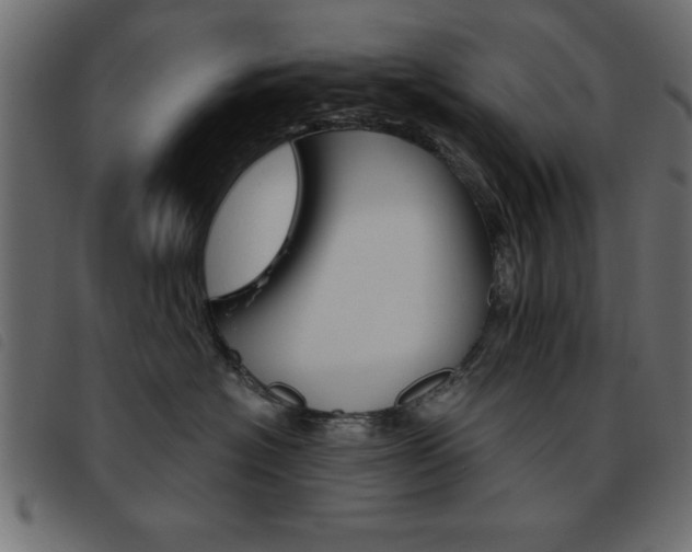 X0000093460574200710120952