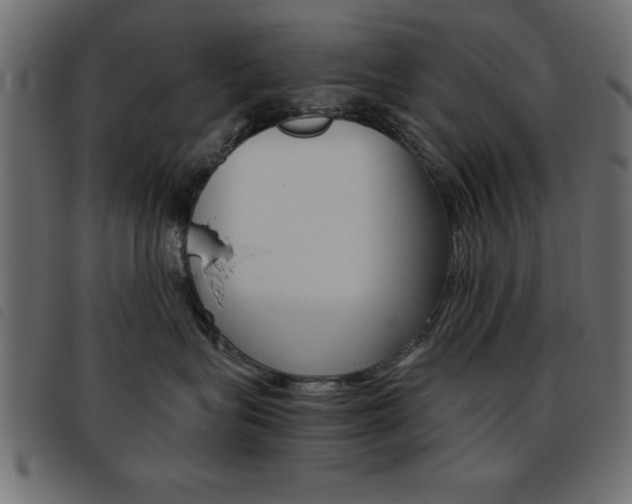X0000093460575200710120952