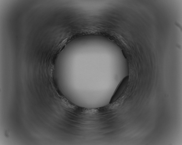 X0000093460576200710120952